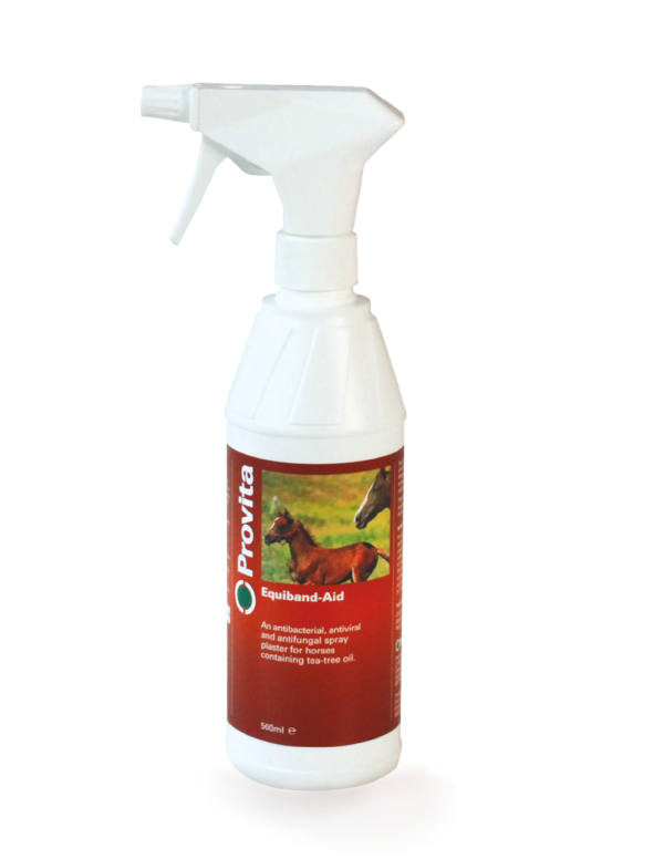 Sprayplåster Equiband 500 ml