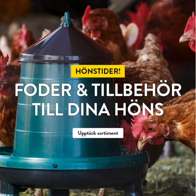 Hönstider! – Foder & tillbehör till dina höns