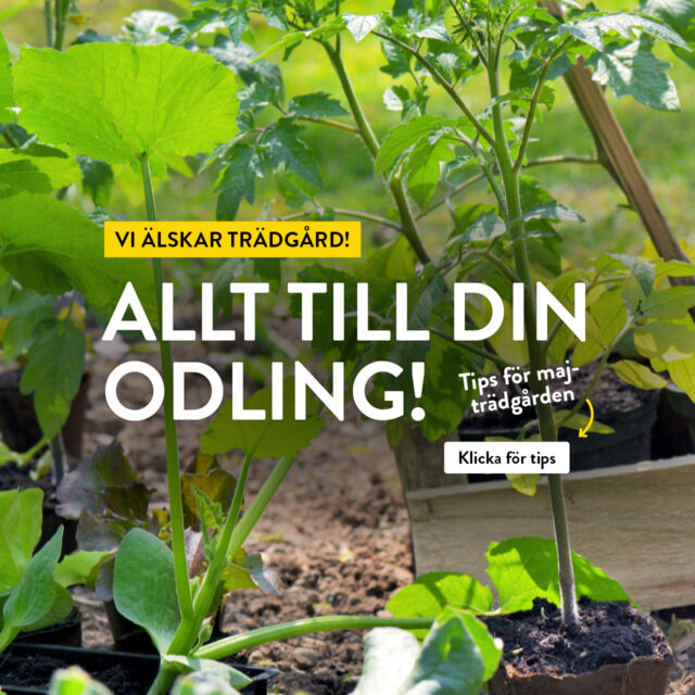 Vi älskar trädgård – Allt till din odling