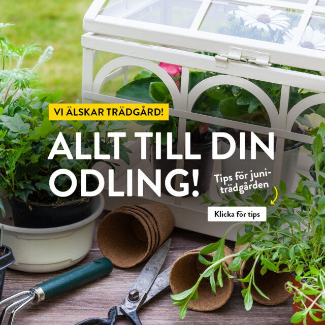 Vi älskar trädgård! Allt till din odling i juni