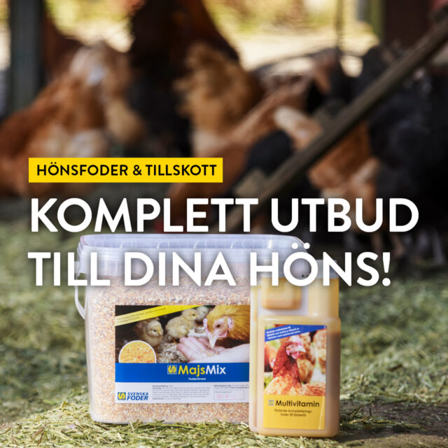 Hönsfoder & tillskott – Komplett utbud till dina höns