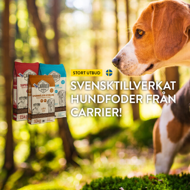 Stort utbud – Svensktillverkat hundfoder från Carrier!