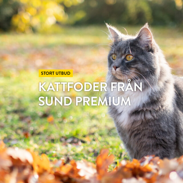 Stort utbud – Kattfoder från Sund Premium