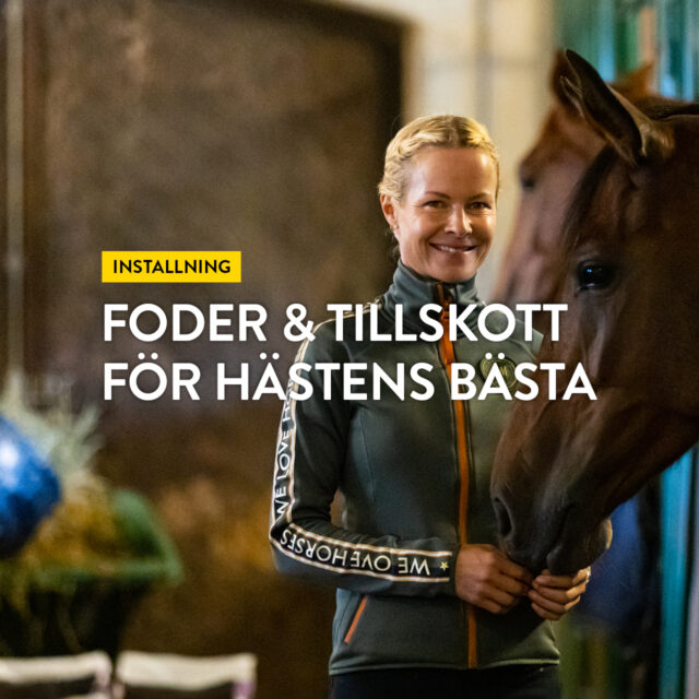 Installning – Foder & tillskott för hästens bästa