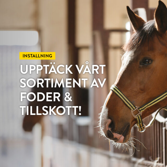 Upptäck vårt sortiment av foder & tillskott